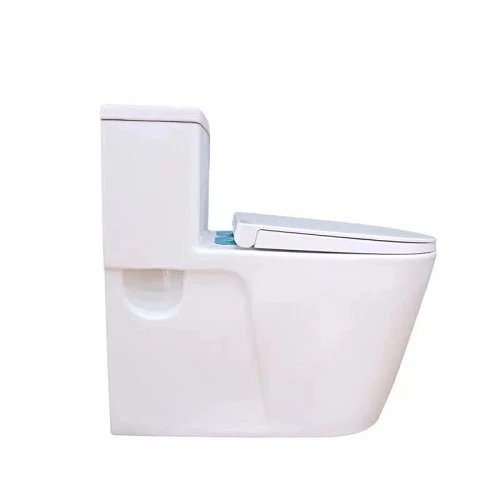 flush toilet